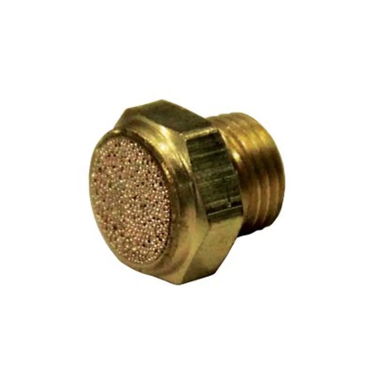 Pirate Brand - Rpb® Gx4 Gas Monitor, M5 Inlet Filter, Sintered Brass 1
