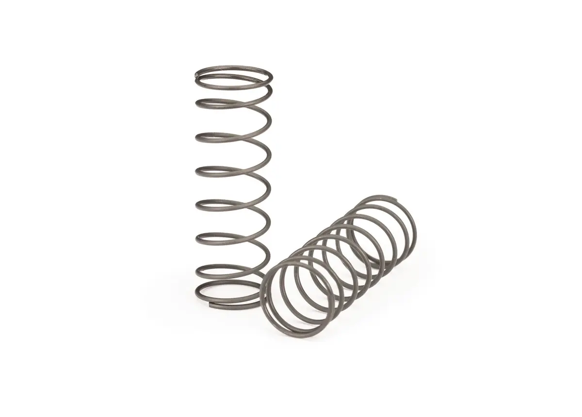 Mini Maxx Gtr Springs (2) 1