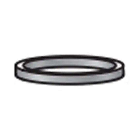 Binks 193665 Housing Seal 1