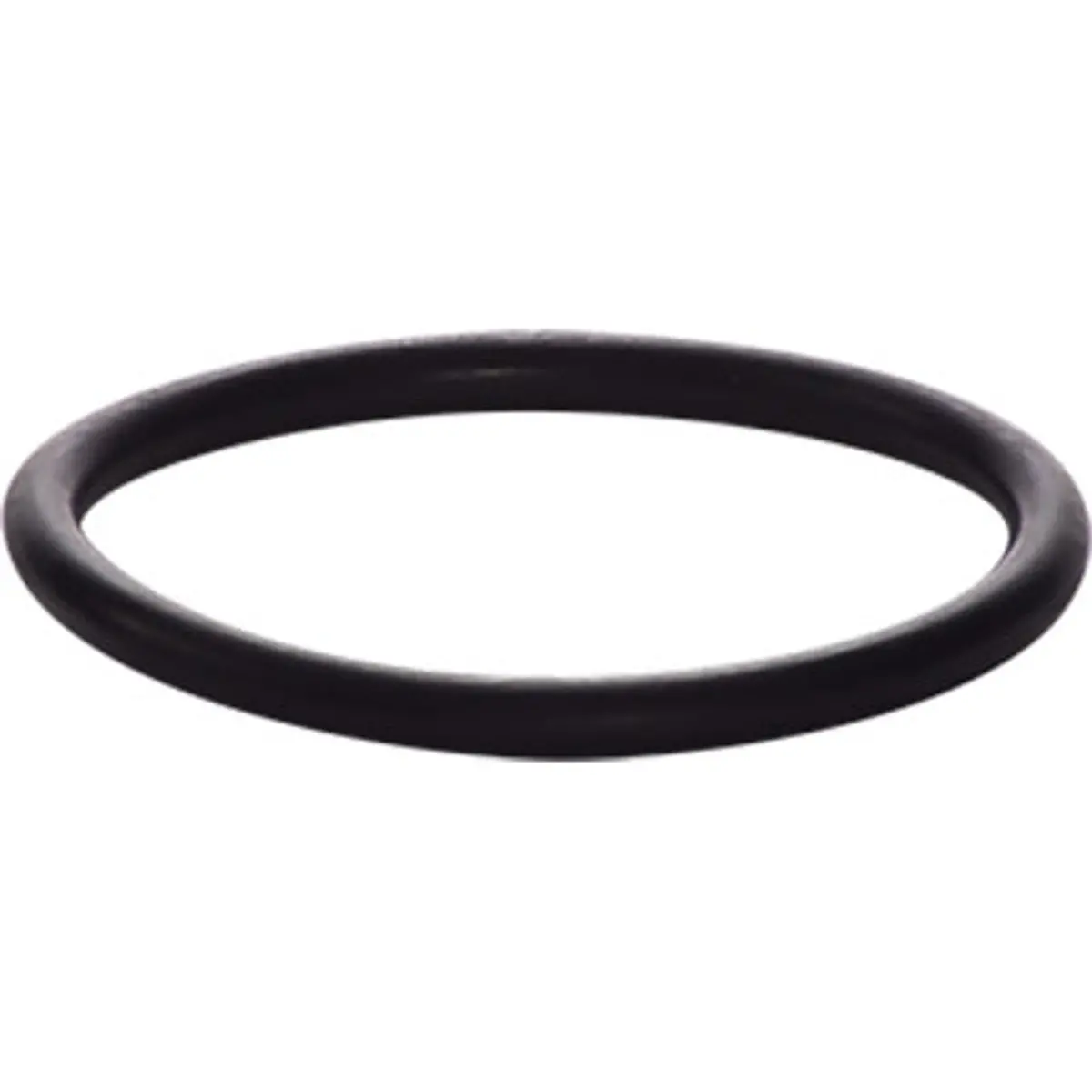 Pirate Brand - Bullard®, Free Air Pump Outlet Filter, Assembly O-Ring 1