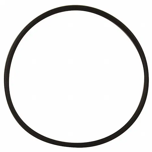 O-Ring (Wagner 9974106) 1