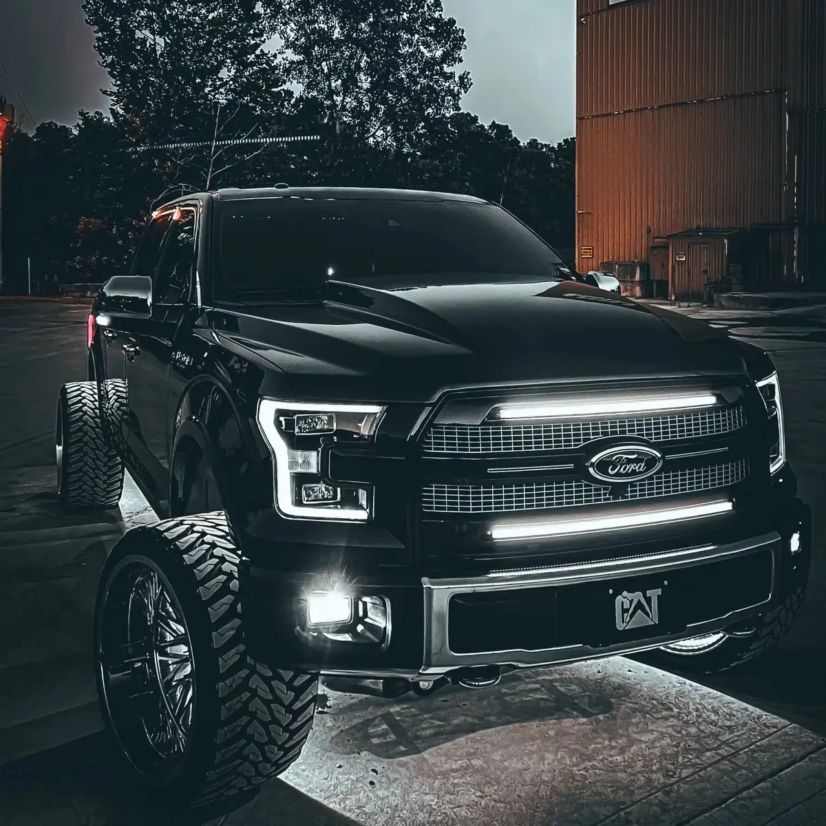 2015-2017 F150 Platinum Sequential Switchback Grill Strips 1