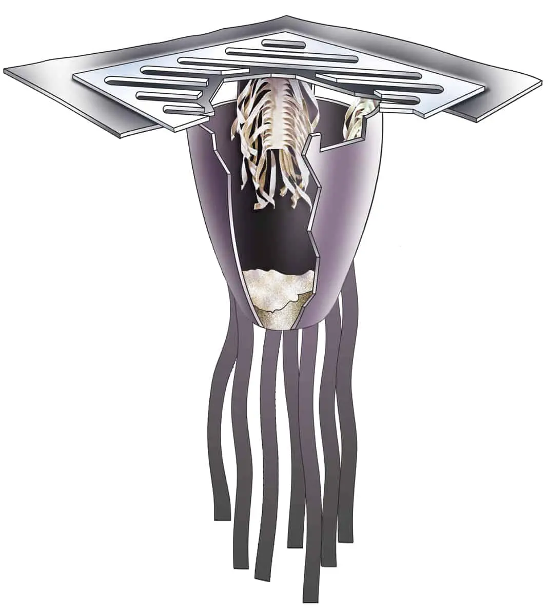 Ultratech Ultra-Drain Guard® - Ultimate Model 1