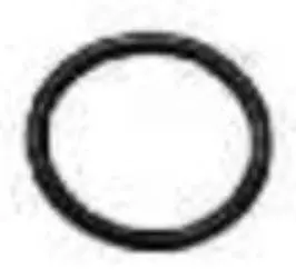 O-Ring 19.0X2.5Mm Black 1