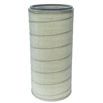 Ultraweb Cartridge Filter 1