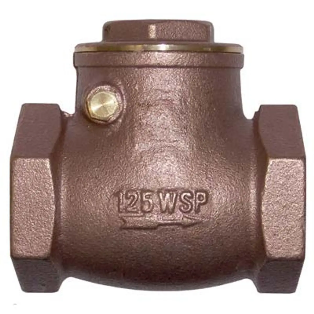 Pirate Brand - Empire Style, Check Valve, Swing 1-1/4" 1