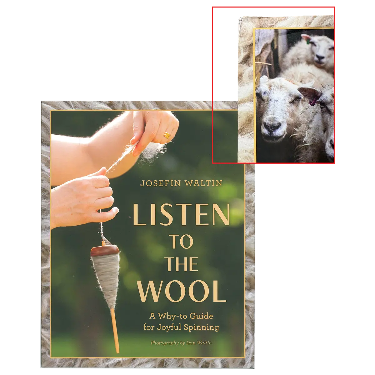 Listen To The Wool 2