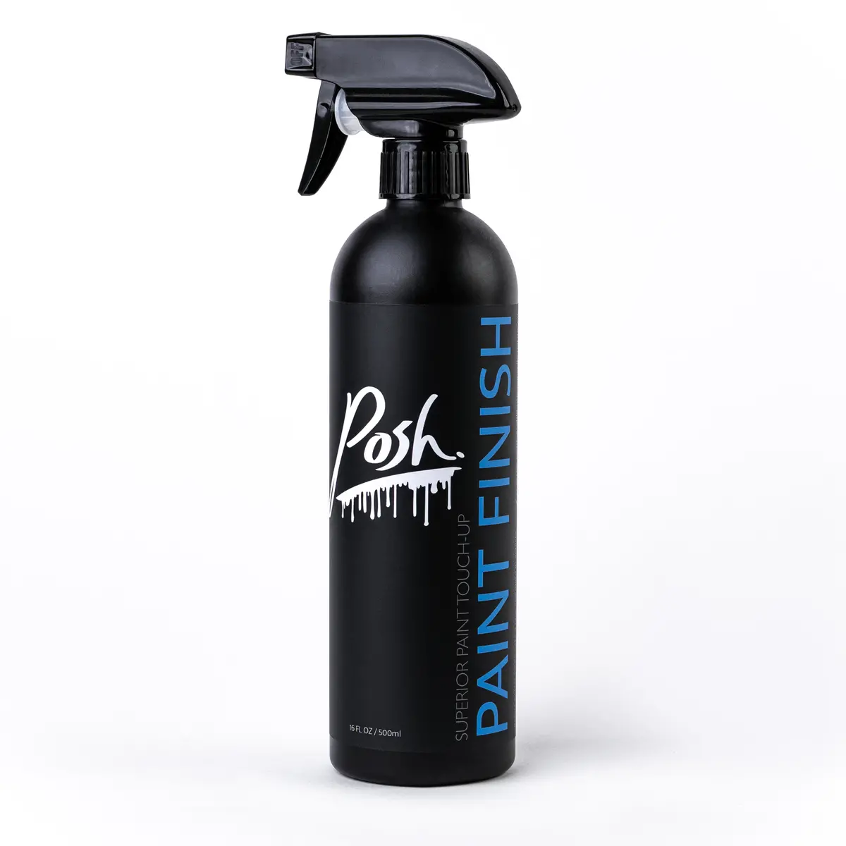 Posh Detailing | Paint Finish 1