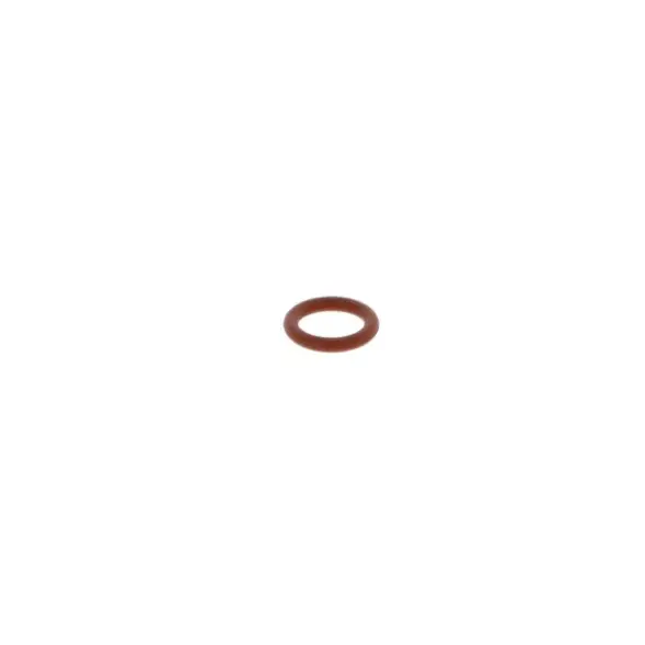 Satagraph 4 Nozzle Base O-Ring 1