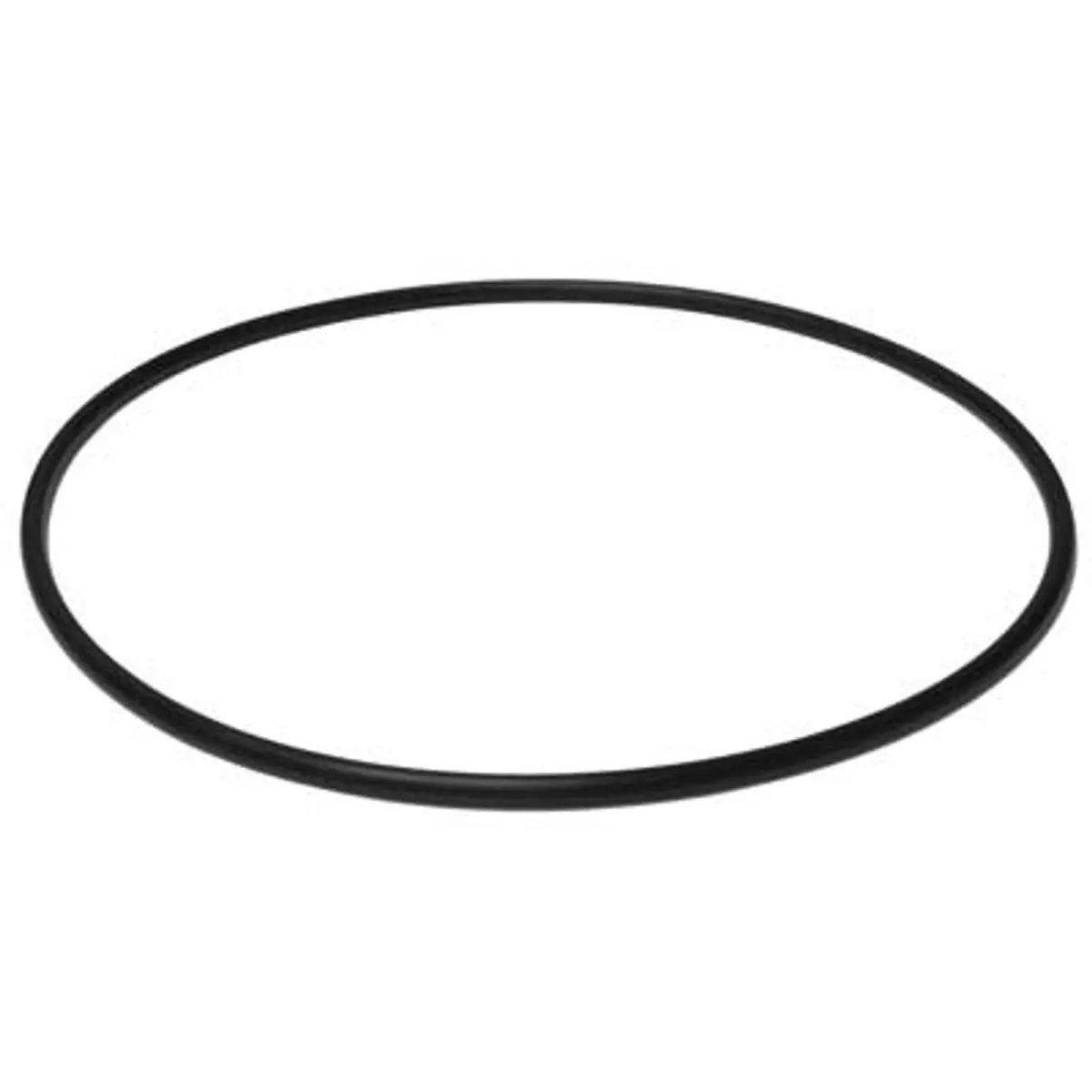 Pirate Brand - Valve, Posi Seal, Double Seal, Upper O-Ring 1