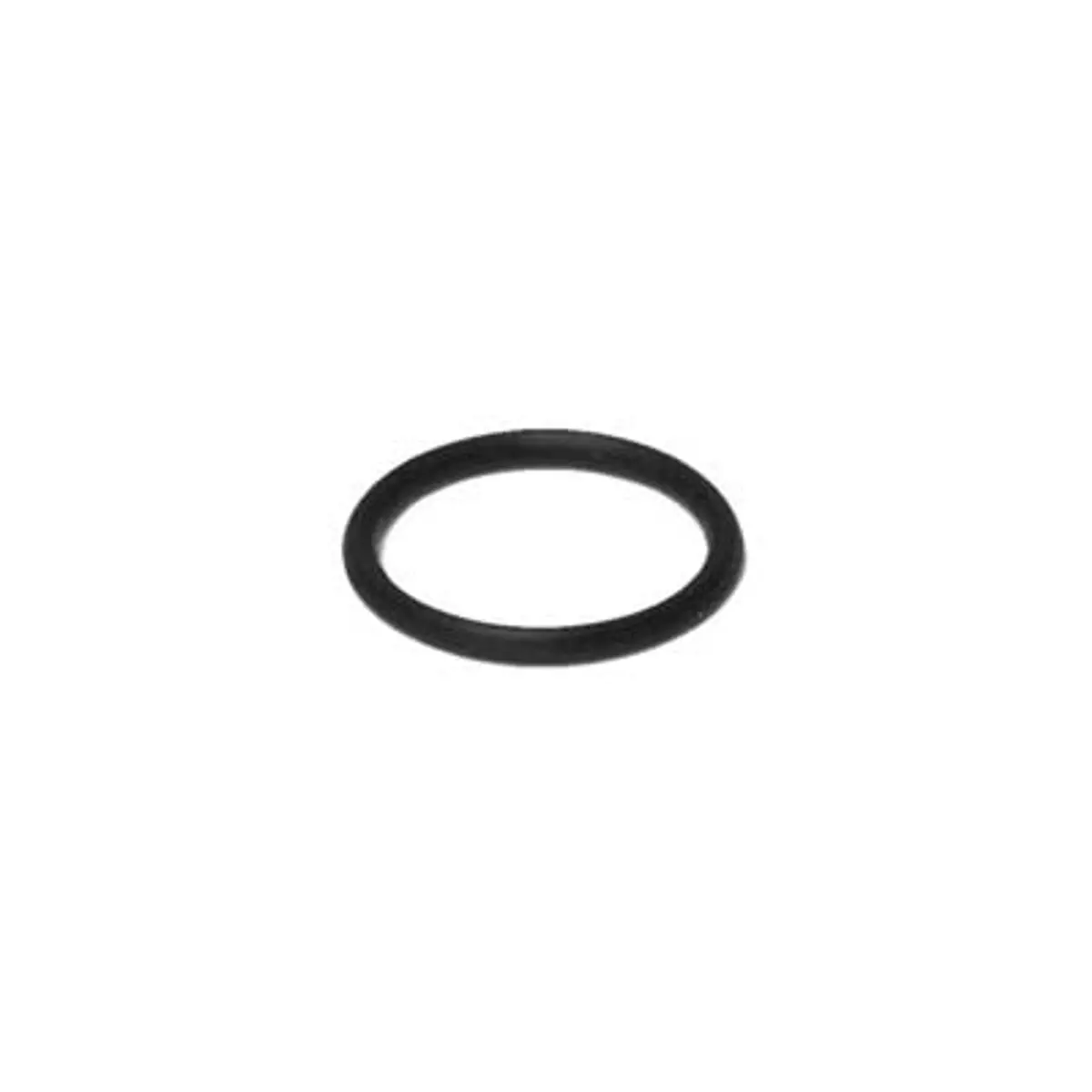Pirate Brand - Valve, Posi Seal, Double Seal, Lower O-Ring 1