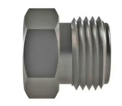 Hosco Sst Stainless Steel Fittings And Adaptors, Plug (Various Size Options) 1