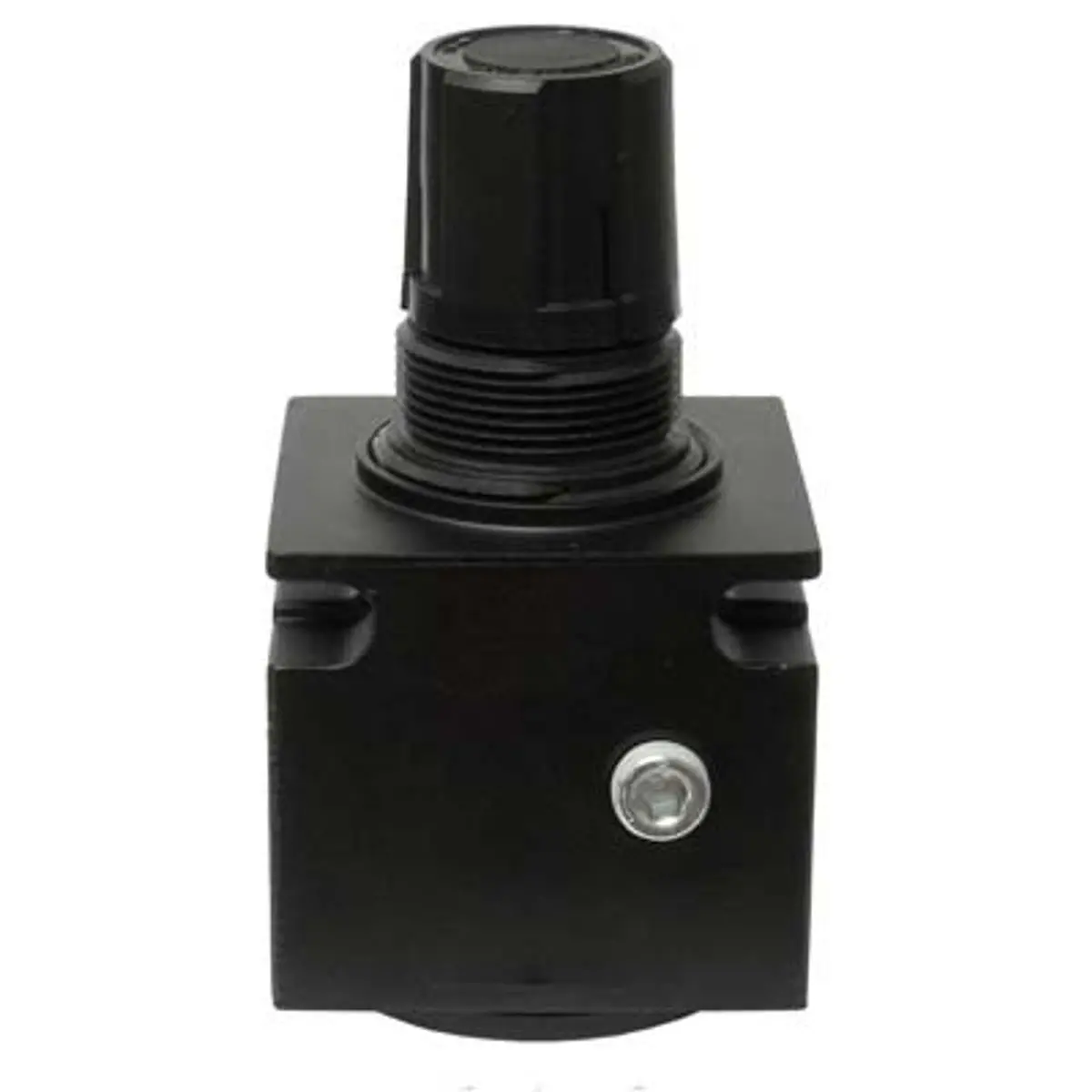 Pirate Brand - Universal Style, 1/2" Air Pressure Regulator 1