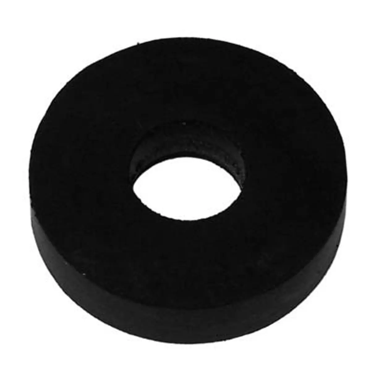 Pirate Brand - Valve, Inlet/Outlet, 1", Plug Washer 1
