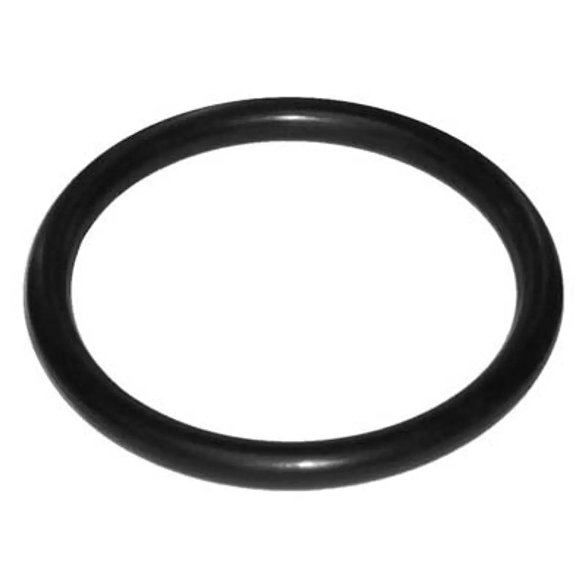 Pirate Brand - Abrasive Trap, 1", O-Ring 1