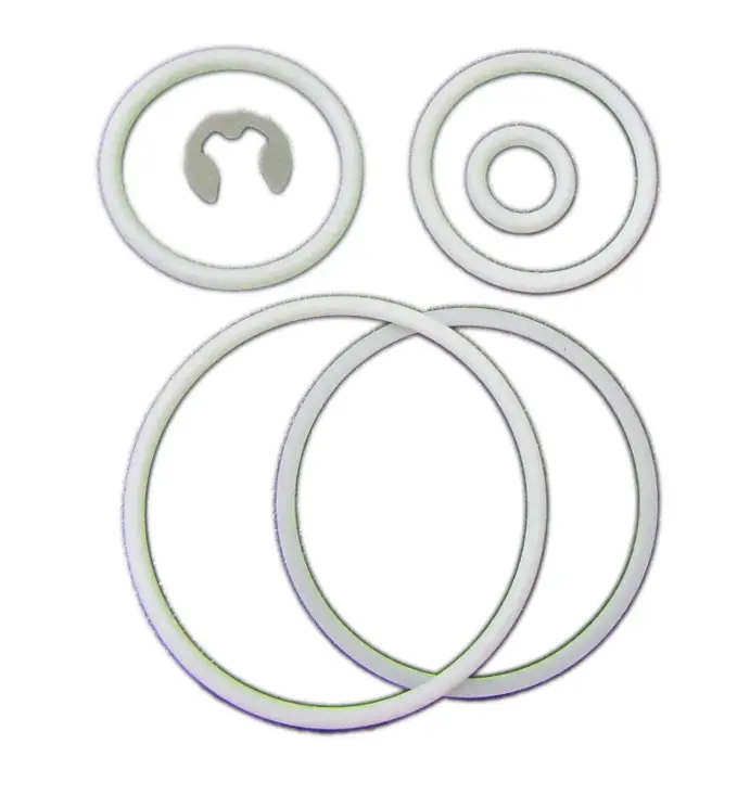 Sames® 129-729-908 Air Seal Kit, Xcite® 1