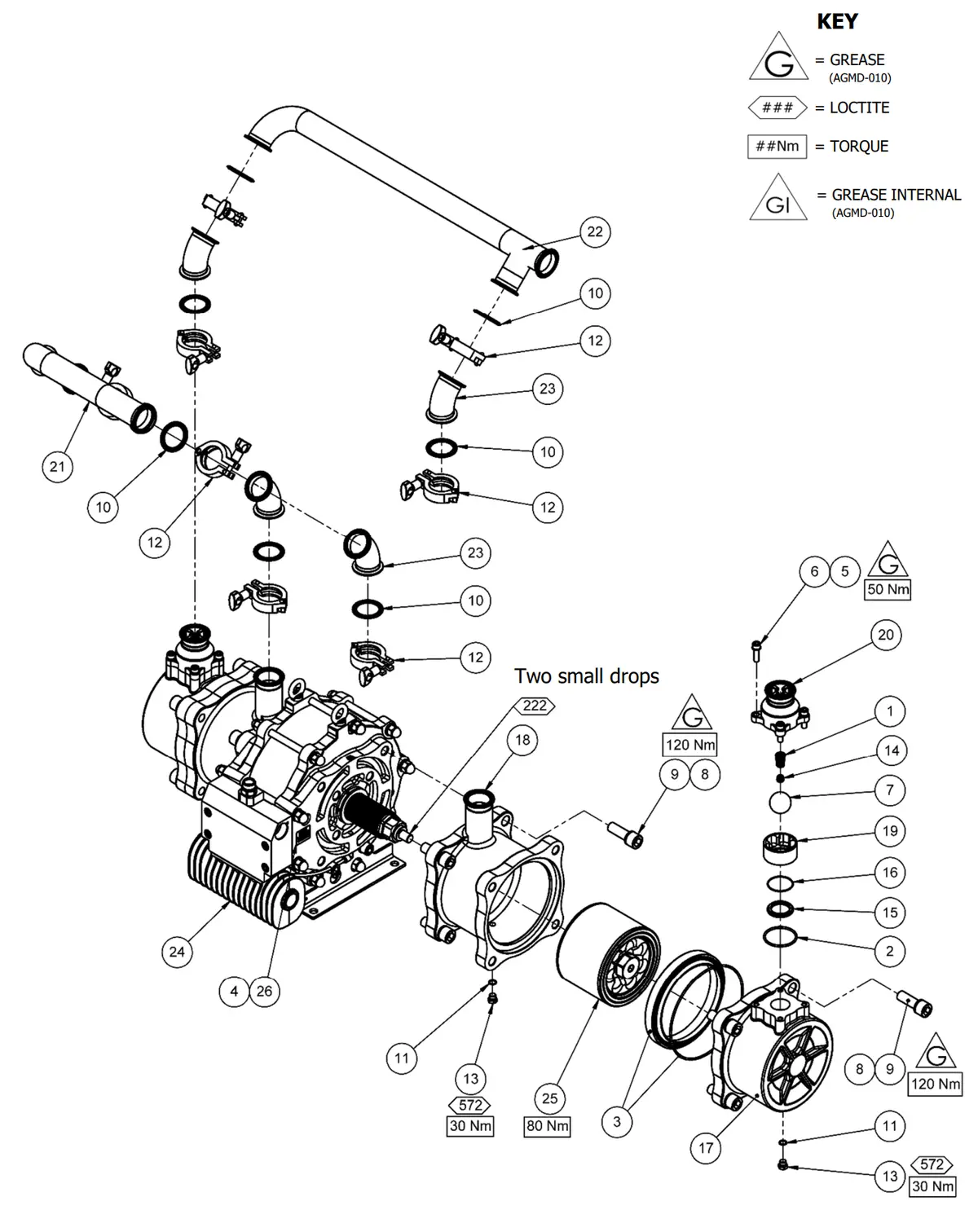 Binks Maple Pump Outlet Check 1