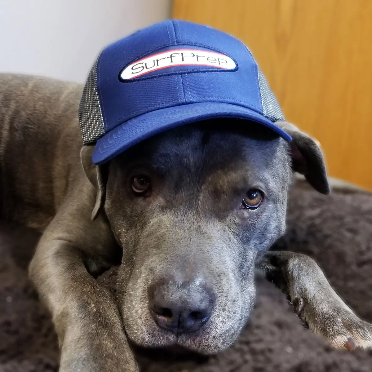 Surfprep Trucker Hat 1