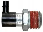 Thermal Valve 1/4" Mnpt - 200Psi 1