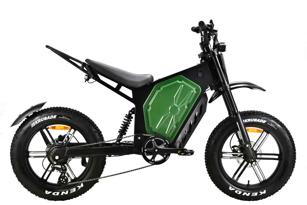 Goblin 20Ah Ebike 1