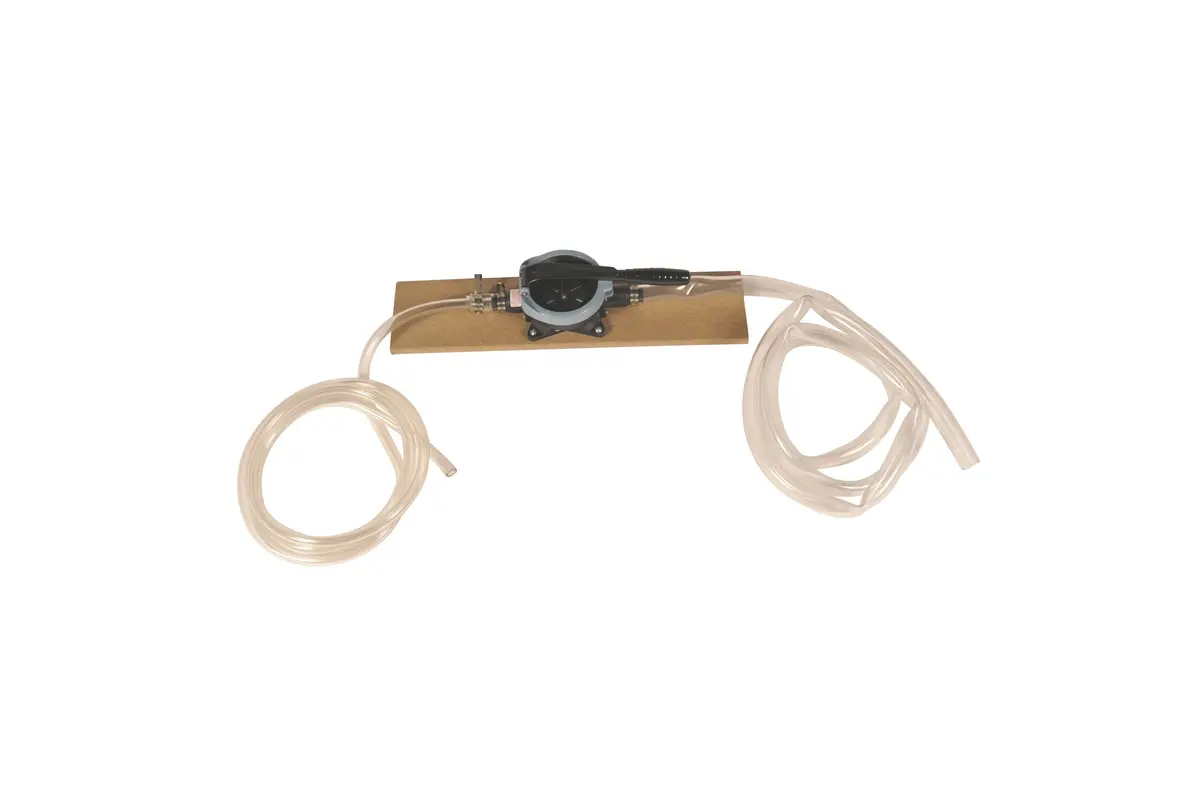 Bladder Pump For Removing Liquid 1