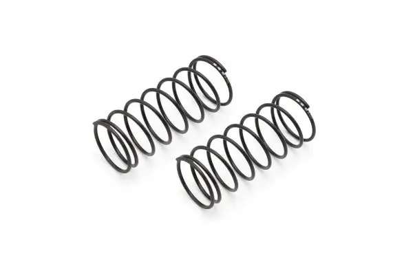 Big Bore Spring(L=44/3.55/2Pcs) 1