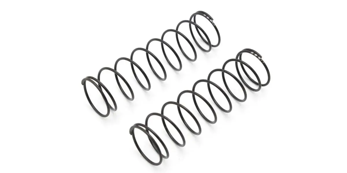 Big Bore Spring(L=63/2.2/2Pcs) 1
